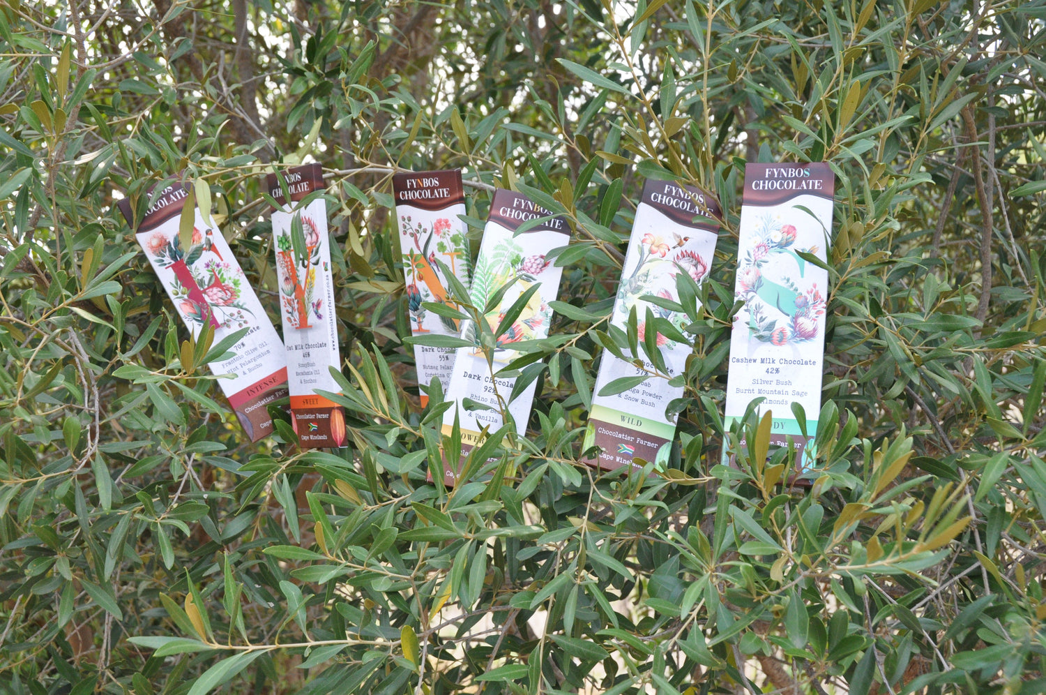 FYNBOS Chocolate Slabs